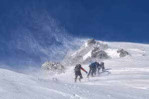 Erfolgsgeschichten: Team erreicht den Gipfel.